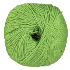 Cascade Yarns 220 Superwash Yarn - 0802 Green Apple